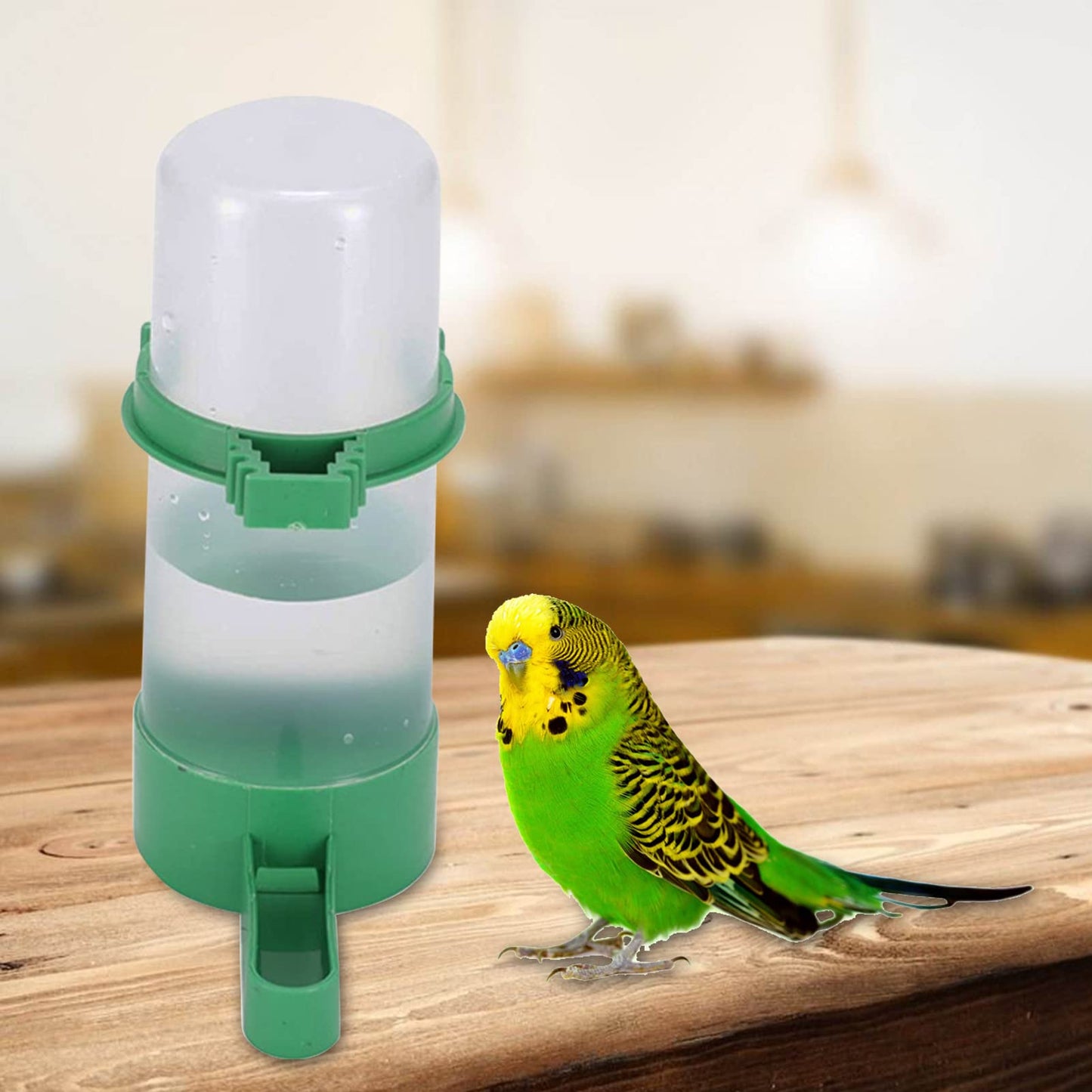Automatic Water Dispenser | Automatic Bird Feeder | Drinker Container, Water Dispenser Birds Cage for Parrots Budgie Cockatiel Lovebirds
